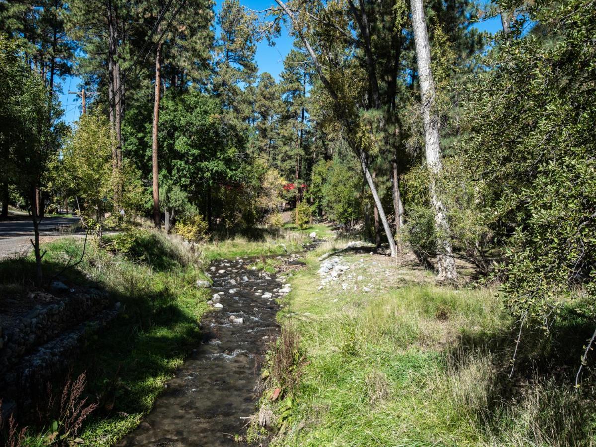 Sleeping Bear, 2 Bedrooms, Front Deck, Midtown, Sleeps 6 Ruidoso Extérieur photo